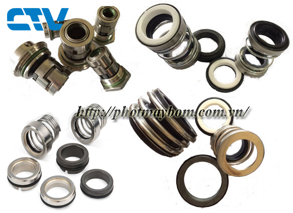 Vai Trò, Phân Loại, Và Cách Chọn Lựa Phù Hợp Phớt Máy Bơm Nước