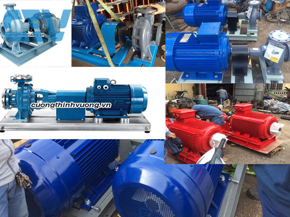 Cung cấp Máy bơm đầu rời