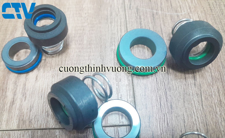 Phớt bơm chịu dầu Type phớt CTV/M2N