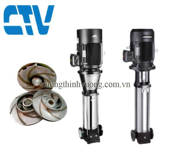 Cánh, chén bơm trục đứng type Shimge BLT 32 - 6